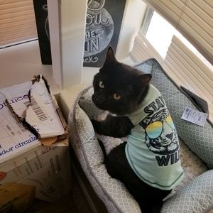 Meet your Posher, Mandy